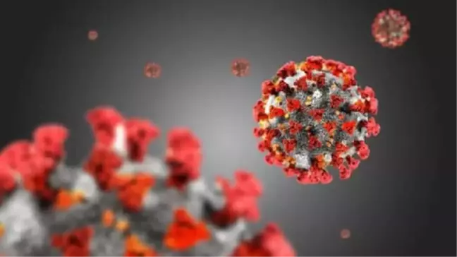 Enfeksiyon Hastalıkları Uzmanı: Eris Varyantı Hızlı Yayılıyor