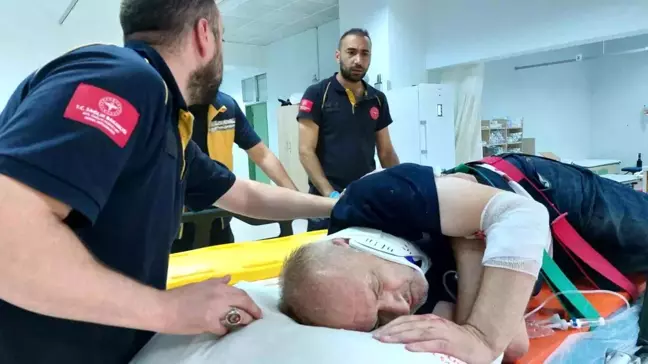 Samsun'da bir öğretmen ceviz ağacından düşerek hastanelik oldu
