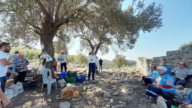 Muğla'da Kalinda Antik Kenti'nde Kazı Çalışmaları Devam Ediyor