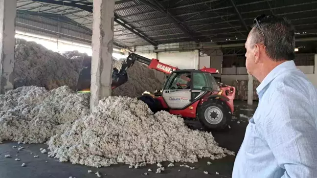 TARİŞ Söke Pamuk Kooperatifi'nde Rekor Pamuk Girişi