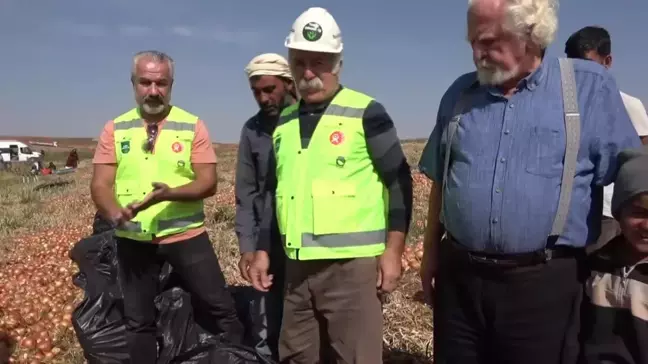 Tarım Orman-İş Sendikası, Soğan Hasadında Çalışan Öğrencilerin Sorunlarına Dikkat Çekti