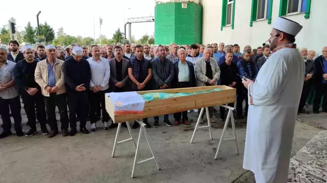 Arı Sokması Sonucu Hayatını Kaybeden Yaşlı Adam