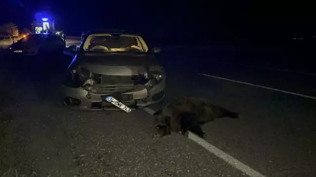 Van'da domuza çarpan otomobilde 4 kişi yaralandı