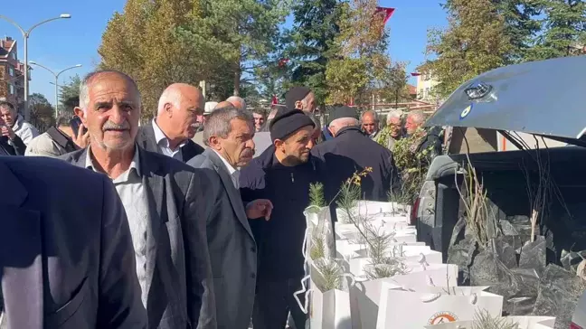 İhsangazi ilçesinde camiye gelenlere 2 bin ağaç fidanı dağıtıldı