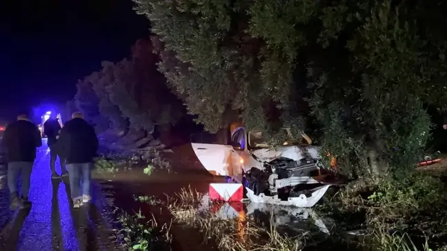 Bursa'da alkollü sürücünün kontrolünden çıkan araç zeytin ağacına çarptı