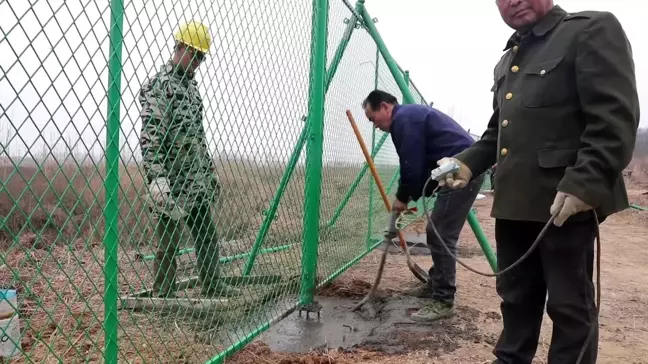 Kuş Popülasyonu Restorasyon Çalışmalarıyla Artıyor