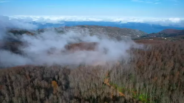 Kastamonu'da sisli kara yolu ve ormanlık alanlar dron ile görüntülendi