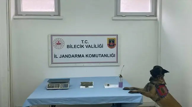 Bilecik'te uyuşturucu operasyonu: 106 gram esrar ele geçirildi