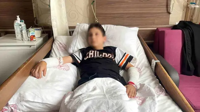 Rize'de köpek saldırısına uğrayan çocuk konuştu