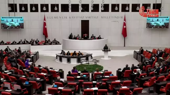 TBMM'de Bütçe Görüşmeleri... Selcan Hamşıoğlu:
