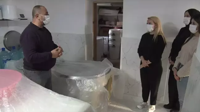 Kargı Tulum Peyniri Endüstriyel Üretim Projesi