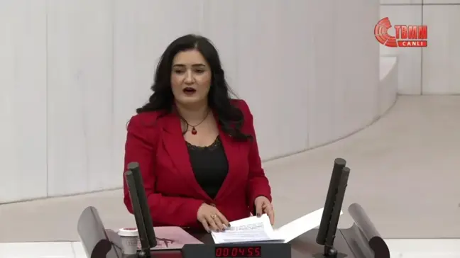 TBMM Bütçe Görüşmeleri... Sevda Erdan Kılıç: 