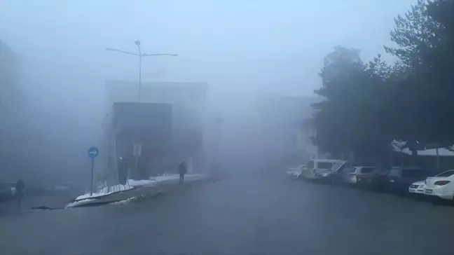 Gerede'de sis etkili oldu