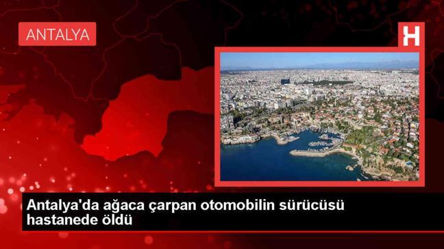 Finike'de otomobil ağaca çarptı, sürücü hayatını kaybetti