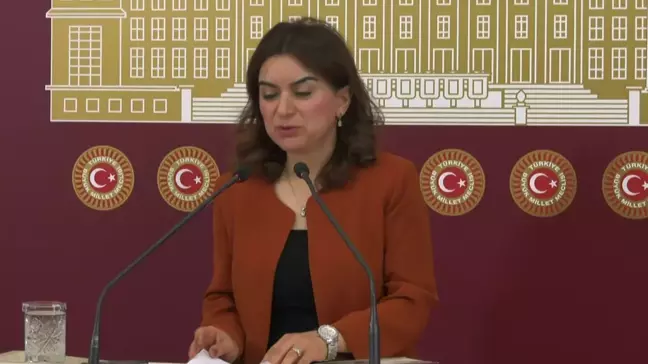 DEM Parti Grup Başkanvekili Gülüstan Kılıç Koçyiğit: 2024 yılı emeklilerin açlık ve sefalet yılı olabilir
