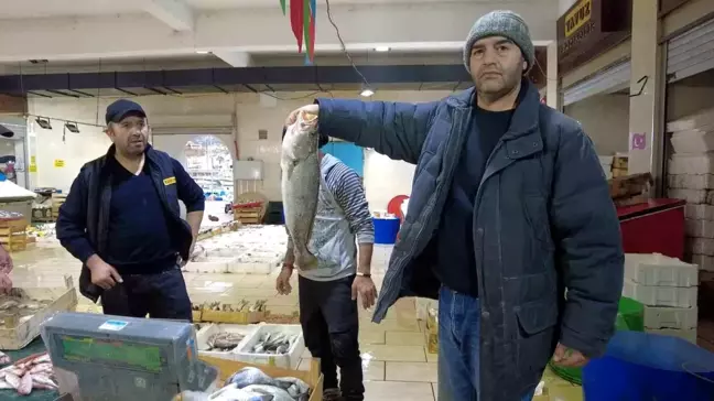 İzmir'de Ocak Ayının Balığı Levrek Tezgahlarda