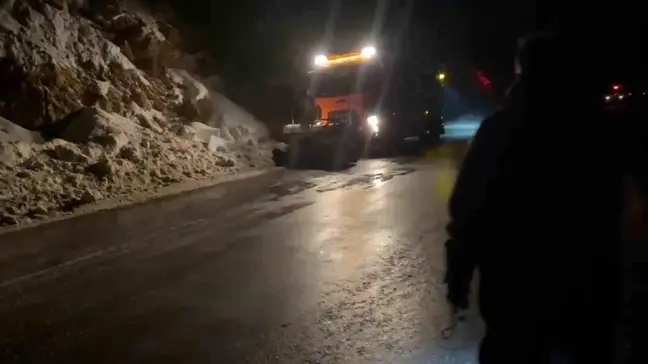 Van'ın Gevaş ilçesinde çığ düştü, ulaşım kısa süreli aksadı