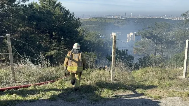 Maltepe'de Ormanlık Alanda Çıkan Yangın Kontrol Altına Alındı
