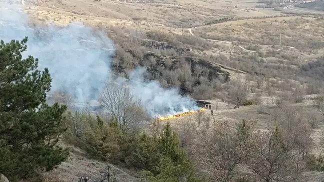 Karabük'ün Ovacık ilçesinde çıkan örtü yangını söndürüldü
