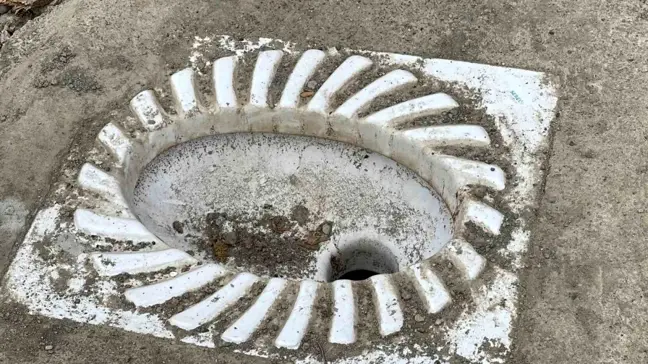 Rize'de Yol Kenarında Duran Tuvalet Taşı Şaşkınlık Yaratıyor