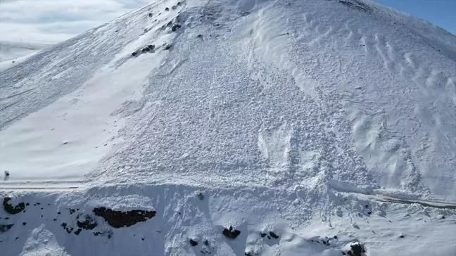 Van'ın Muradiye ilçesinde çığ nedeniyle kapanan yol açıldı