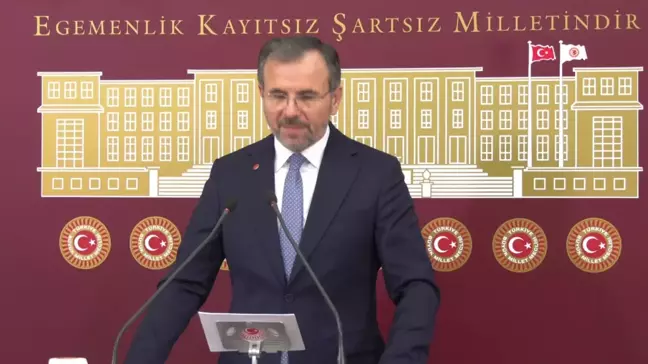 Saadet Partisi TBMM'ye sokak hayvanları sorununu çözmek için kanun teklifi verdi