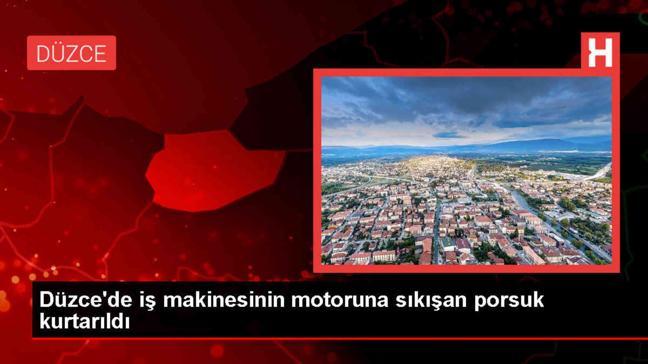 Düzce'de iş makinesinin motoruna sıkışan porsuk kurtarıldı