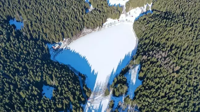 Artvin'deki Karagöl-Sahara Milli Parkı'nda Böcek Mücadelesi