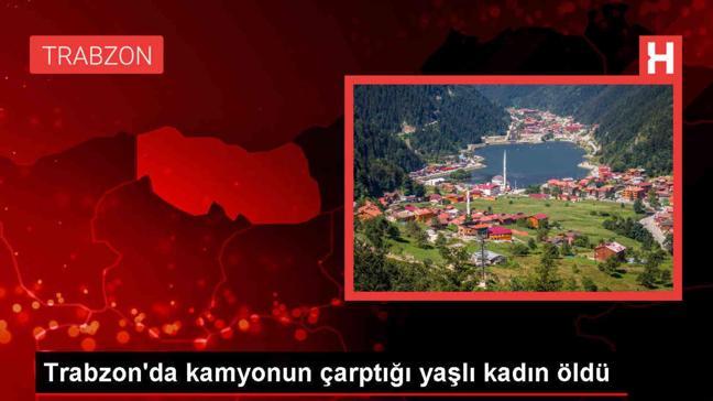 Trabzon'da kamyonun çarptığı yaşlı kadın hayatını kaybetti