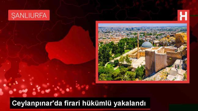Şanlıurfa'da hakkında kesinleşmiş hapis cezası bulunan hükümlü yakalandı