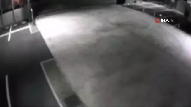 Japonya'da zehirli krom tankına düşen kedi aranıyor
