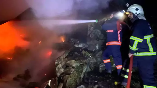 Artvin'in Borçka ilçesinde çıkan yangında ahşap ev kullanılamaz hale geldi