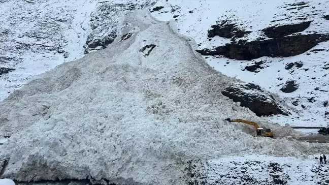 Van'ın Bahçesaray ilçesinde çığ düştü, yol açma çalışmaları başlatıldı