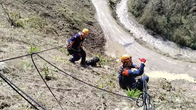 AFAD Ekipleri Uçurumdan Düşen Köpeği Kurtardı