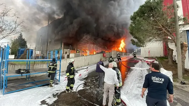 Tekirdağ'da bir fabrikada çıkan yangın söndürülmeye çalışılıyor