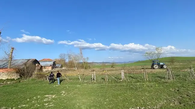 Eflani'de ağaç kesimi sırasında ölüm: 3 şüpheli gözaltına alındı