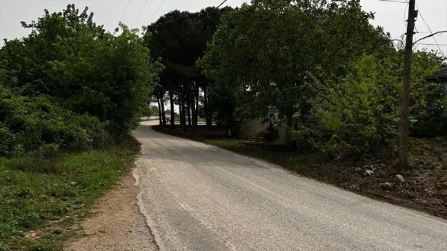 Balıkesir'de kaybolan ekonomistin kemik ve kıyafet parçaları bulundu