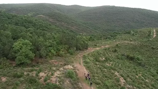 Balıkesir'de kaybolan ekonomistin kemik ve kıyafet parçaları bulundu