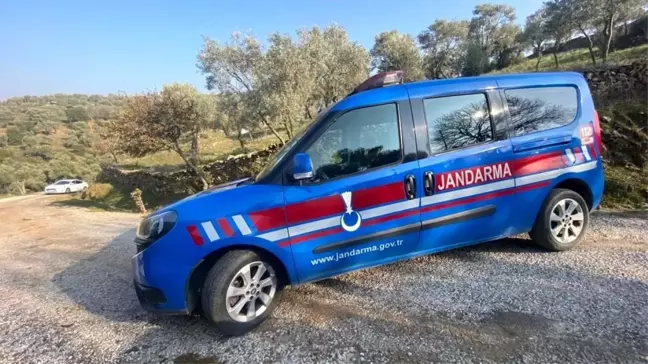 Aydın'da Hayvanları Otlatırken Domuz Yavrusunu Öldürten Şahsa Cezai İşlem