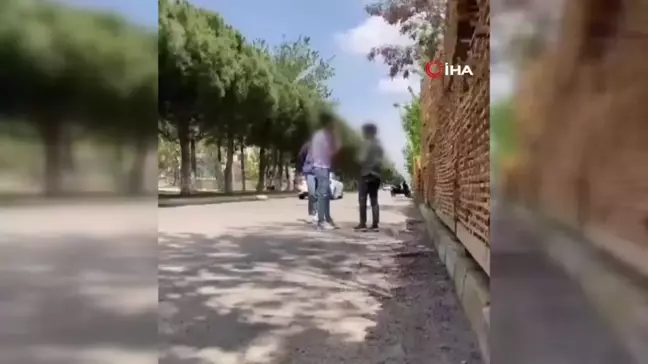Hem darp edip hem kayda alan şehir zorbaları yakalandı
