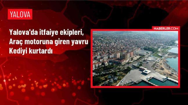 Yalova'da trafik ışıklarında mahsur kalan yavru kedi itfaiye ekipleri tarafından kurtarıldı