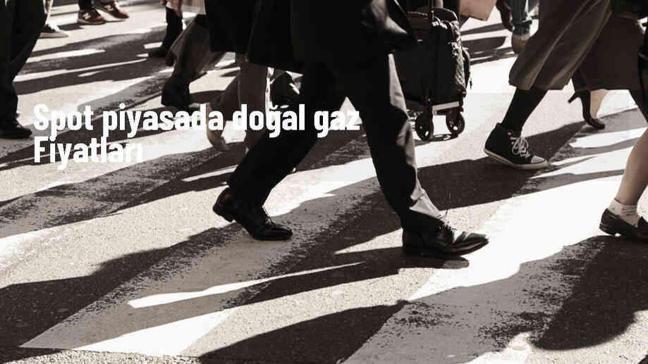 Spot Doğal Gaz Piyasasında Referans Fiyatlar Belirlendi