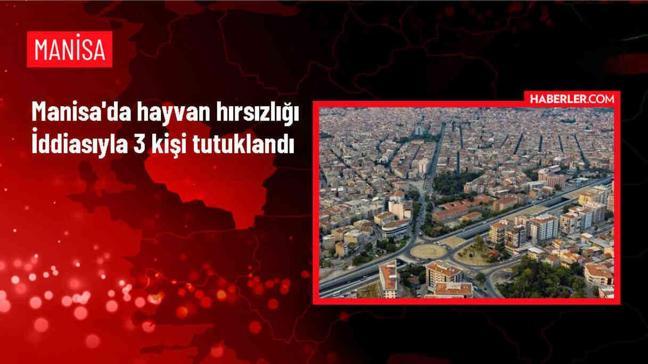 Manisa'da hayvan hırsızlığı yapan 3 şüpheli tutuklandı