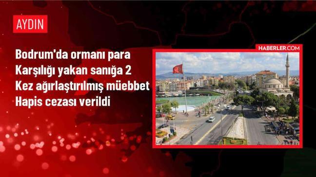 Bodrum'da çıkan orman yangınıyla ilgili sanığa ağırlaştırılmış müebbet hapis cezası