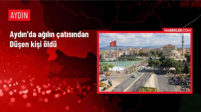 Aydın'da Ağılın Çatısından Düşen Kişi Hayatını Kaybetti