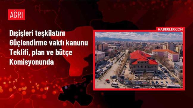 AK Parti Milletvekili Güneş: Dışişleri Teşkilatını Güçlendirme Vakfı, insanları yetiştirmeyi ve Dışişlerini etkinleştirmeyi amaçlıyor