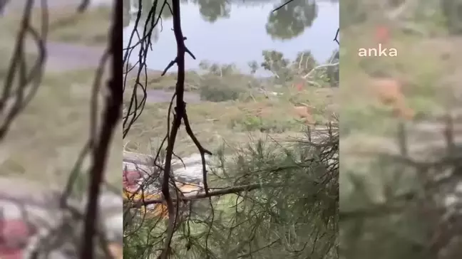 Muğla'da Hilton Oteli'nin Golf Sahası Projesine Karşı Eylem