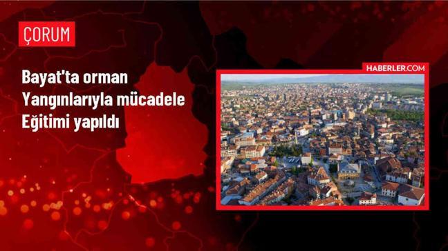 Çorum'un Bayat ilçesinde orman yangınlarıyla mücadele eğitimi verildi