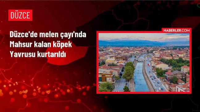 Düzce'de Mahsur Kalan Köpek Yavrusu İtfaiye Tarafından Kurtarıldı