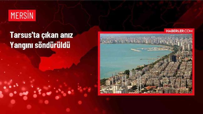Mersin'in Tarsus ilçesinde çıkan anız yangını söndürüldü